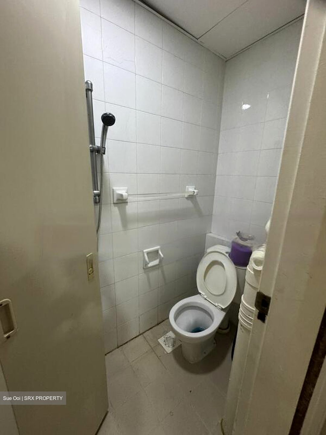 Bullion Park (D26), Condominium #474171571